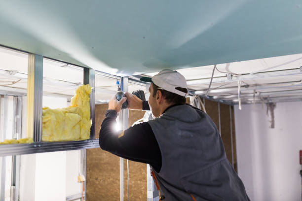Best Blown-in Insulation in Llano, TX